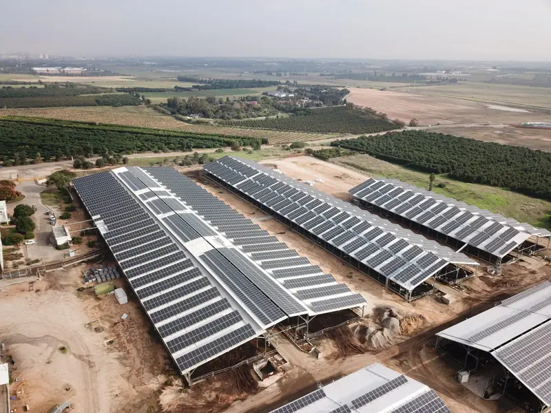 Capannoni di un allevamento con le coperture coperte da moduli fotovoltaici